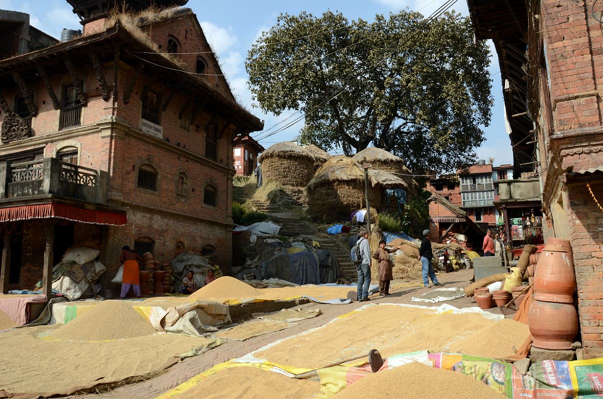 Kathmandu Bhaktapur 10-3 Potters Square At Harvest Time 